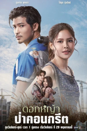 Poster phim A Wildflower in the City (A Wildflower in the City) - 2023