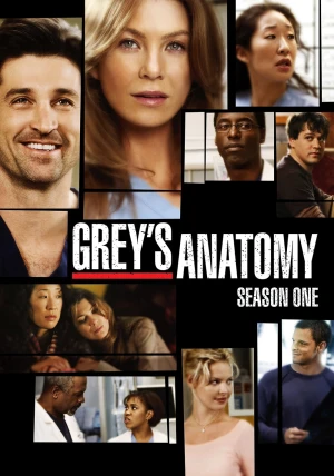 Poster phim Ca Phẫu Thuật Của Grey (Phần 1) (Grey's Anatomy (Season 1)) - 2005