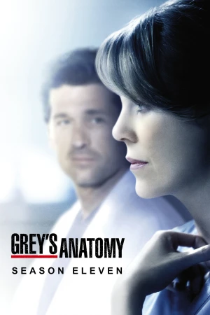 Poster phim Ca Phẫu Thuật Của Grey (Phần 11) (Grey's Anatomy (Season 11)) - 2014