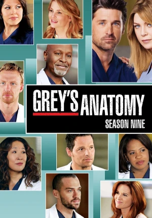 Poster phim Ca Phẫu Thuật Của Grey (Phần 9) (Grey's Anatomy (Season 9)) - 2012