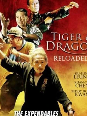 Đả Lôi Đài - Tiger and Dragon Reloaded (2009)