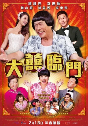 Đại Hỷ Lâm Môn - The Wonderful Wedding (2015)