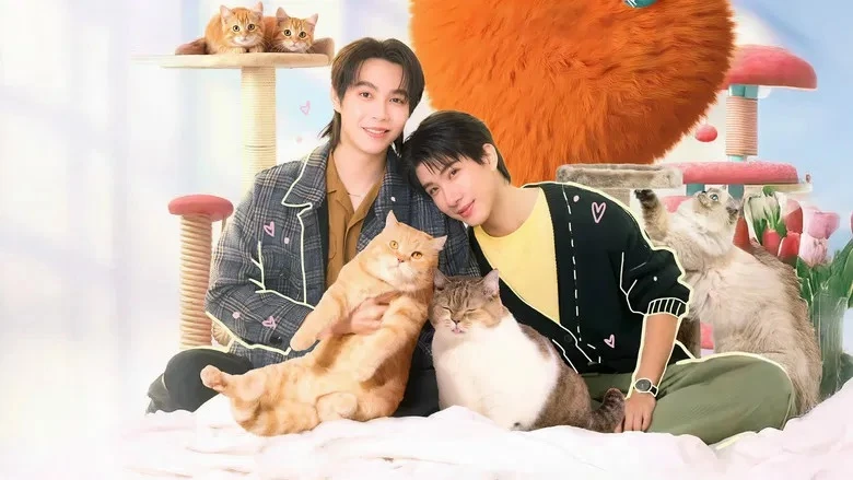 Đổi Tình Lấy Mèo - Cat For Cash