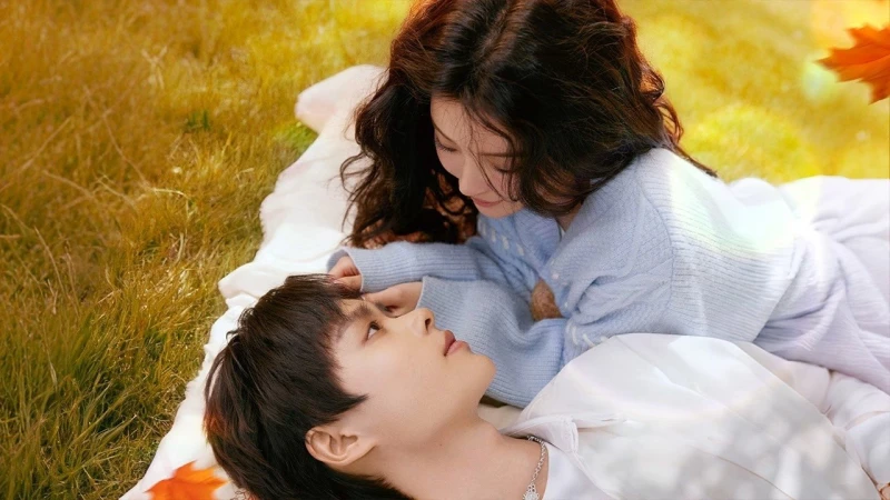 Khi Ánh Sao Rơi Xuống Biển Hoa - When the Stars Fall into the Sea of Flowers