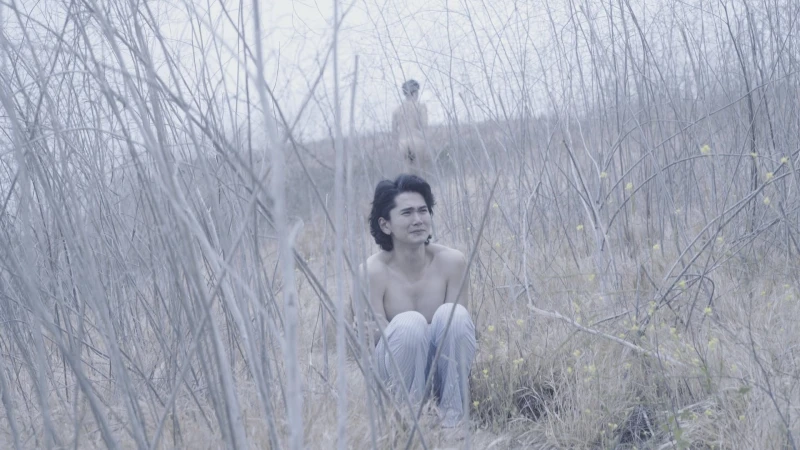 không lời - Wordless