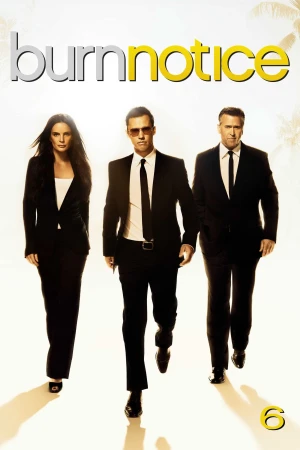 Poster phim Lệnh Thanh Trừng (Phần 6) (Burn Notice (Season 6)) - 2025