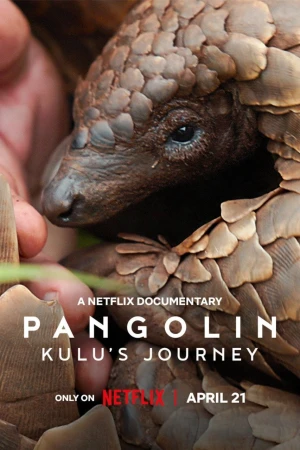 Loài tê tê: Hành trình của Kulu - Pangolin: Kulu's Journey (2025)