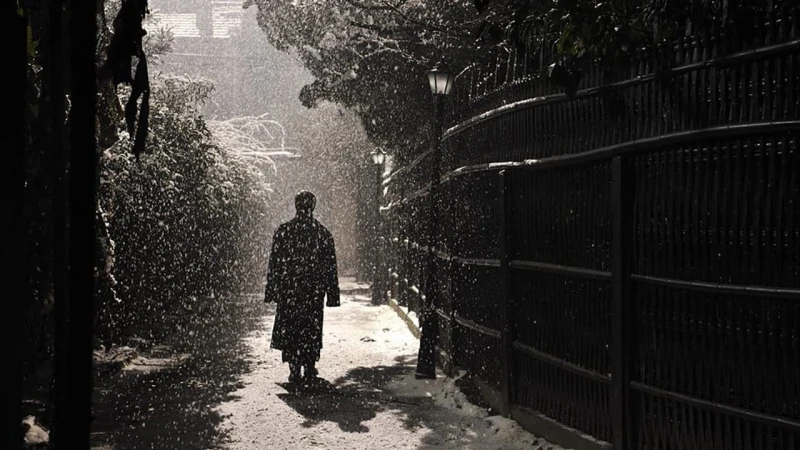 Mai Lan Phương - 梅蘭芳/Forever Enthralled