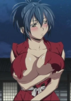 Manyuu Hikenchou Specials - Manyuu Hikenchou: Binyuu Tanren Hou - Chichi Togi (2011)