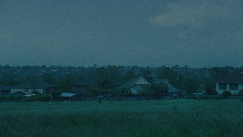 Nạn Nhân - Victim