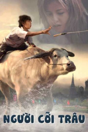 Người Cỡi Trâu - Buffalo Rider (2025)