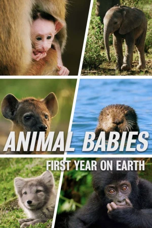 Poster phim Những Sinh Linh Non Nớt: Năm Đầu Tiên Trên Trái Đất (Animal Babies: First Year On Earth) - 2019