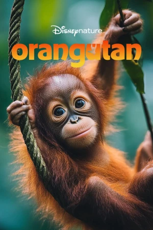 Poster phim Orangutan (Orangutan) - 2026