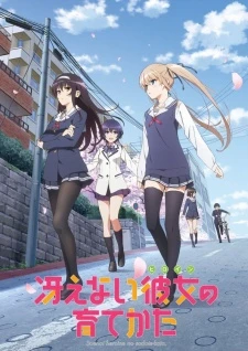 Saenai Heroine no Sodatekata - Saenai Kanojo no Sodate-kata, Saekano: How to Raise a Boring Girlfriend