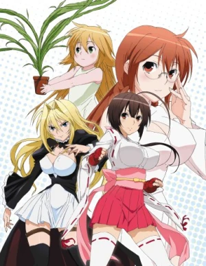 Sekirei: Hajimete no Otsukai - Sekirei OVA, Sekirei Special (2009)