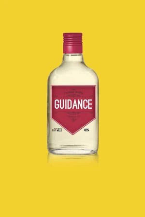 Thầy Hướng Dẫn - Guidance (2014)