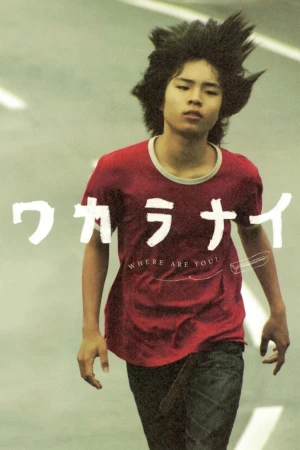 Tôi không hiểu - Where Are You? (2009)