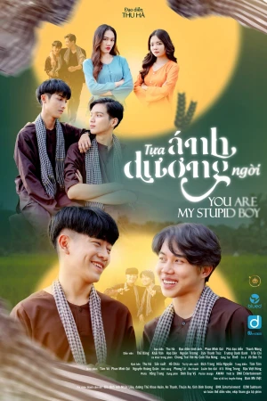 Tựa Ánh Dương Ngời - You Are My Stupid Boy (2022)