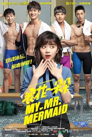Poster phim Từng Cơn Sóng Vỗ (My Mr. Mermaid) - 2017
