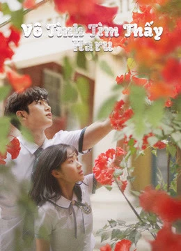 Vô Tình Tìm Thấy Haru - Extraordinary You (2019)