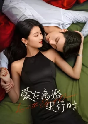 Yêu Khi Sắp Ly Hôn - Love on the Edge of Divorce (2025)